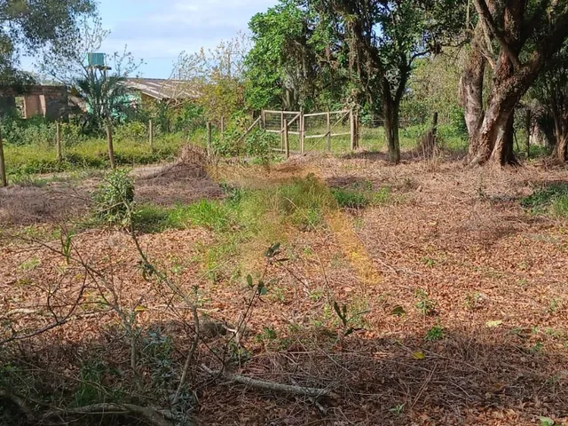 Imagem 6: Terreno de 300m² com Luz e IPTU