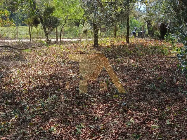 Imagem 8: Terreno de 300m² com Luz e IPTU