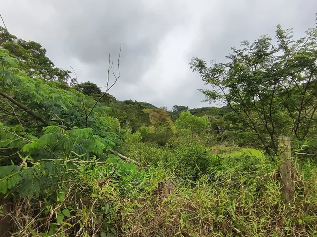 Imagem 4: Terreno de 2.100m²