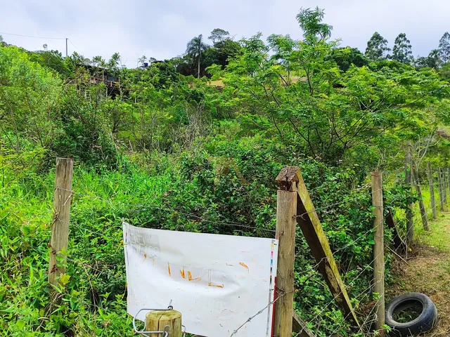 Imagem 8: Terreno de 2.100m²