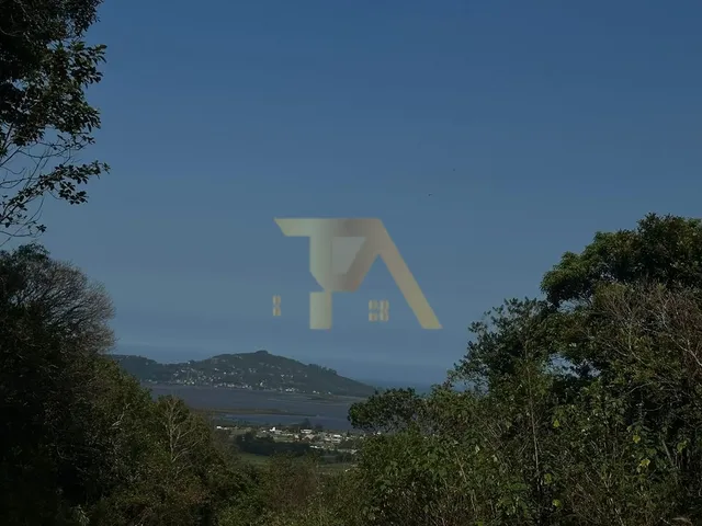 Imagem 1: Terreno de 1 Hectare