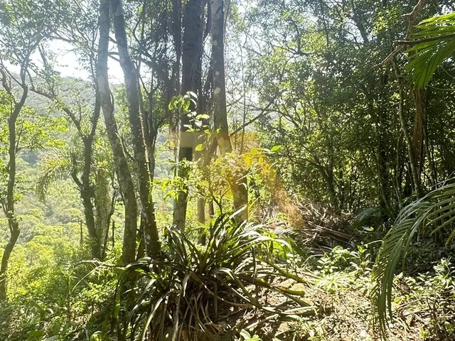 Imagem 9: Terreno de 1 Hectare