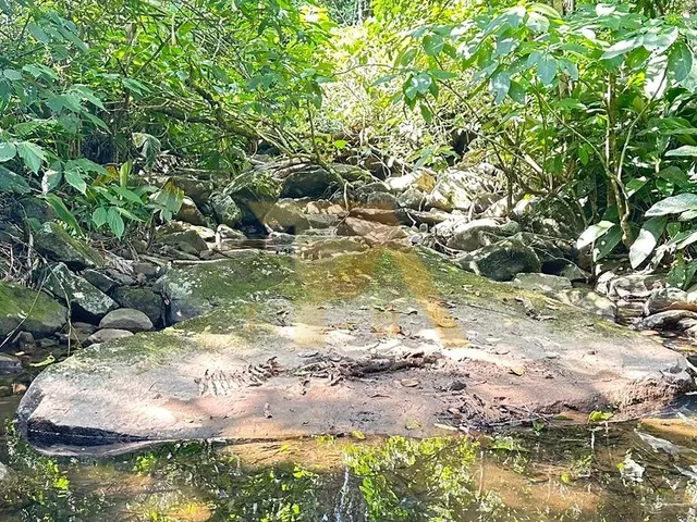 Imagem 5: Terreno de 1 Hectare