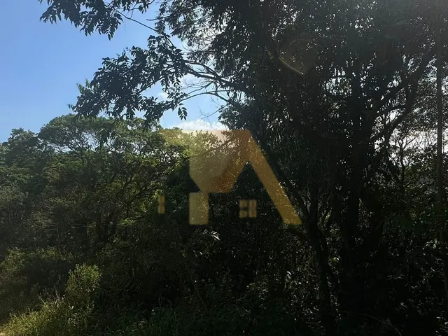 Imagem 6: Terreno de 1 Hectare