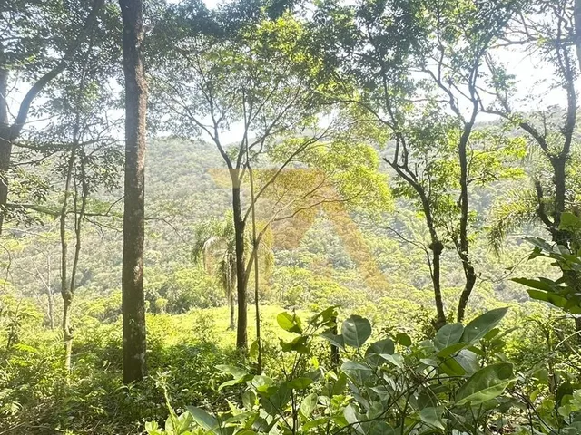 Imagem 7: Terreno de 1 Hectare