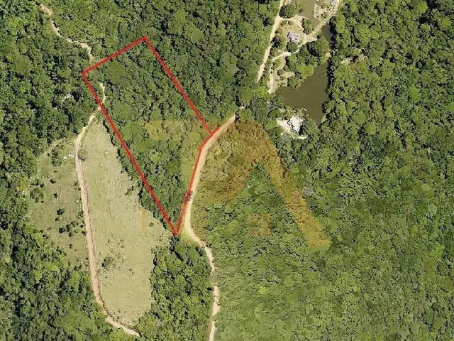 Imagem 3: Terreno de 1 Hectare
