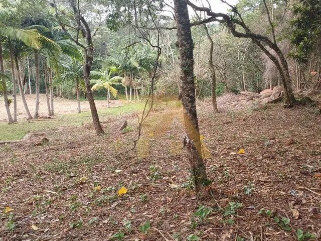 Imagem: Terreno Amplo na Encantada - 1.528,33m²