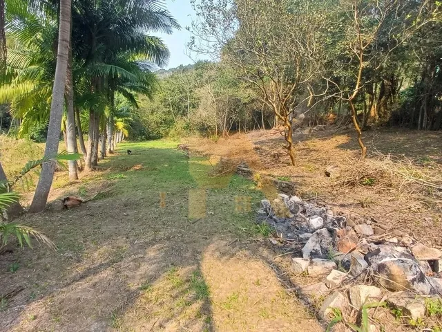 Imagem 3: Terreno Amplo na Encantada - 1.528,33m² - Matrícula em Garopaba/SC Adquira já este