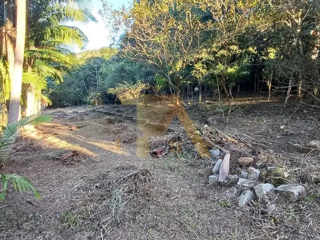 Imagem 4: Terreno Amplo na Encantada - 1.528,33m² - Matrícula em Garopaba/SC Adquira já este