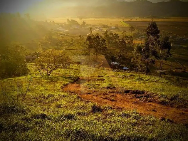 Imagem: Imóvel à venda Sítio de 43.000m2