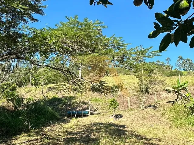 Imagem 11: Imóvel à venda: Sítio de 43.000m2