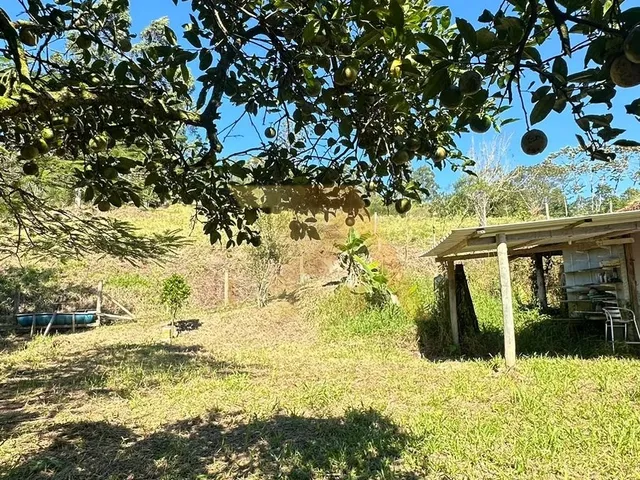 Imagem 9: Imóvel à venda: Sítio de 43.000m2