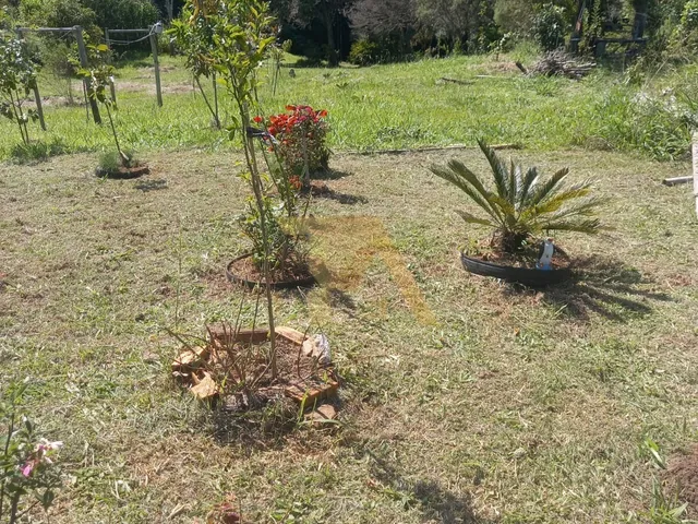 Imagem 4: Casa com Terreno de 4800m² | Residencial - Rural