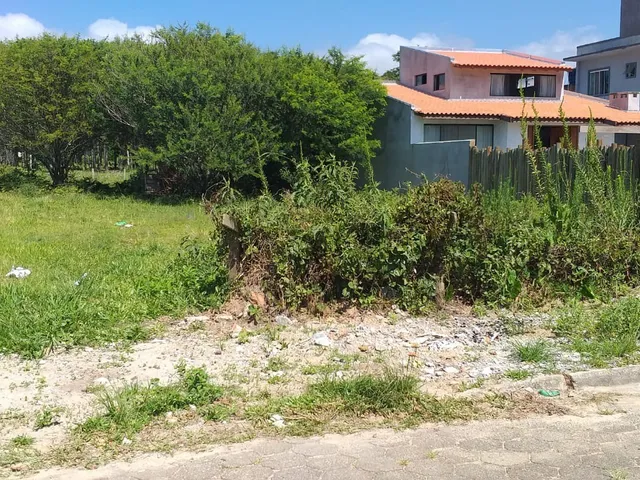 Imagem: Lindo Terreno no Pinguirito