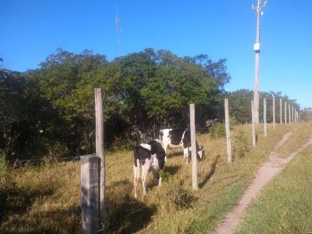 Imagem 8: Terreno de 2.040 m²