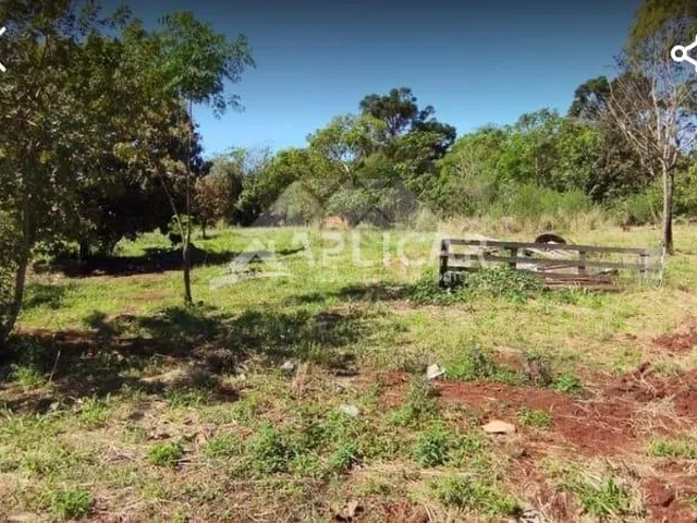 Imagem: Chácara À Venda, Lote Grande, Foz do Iguacu