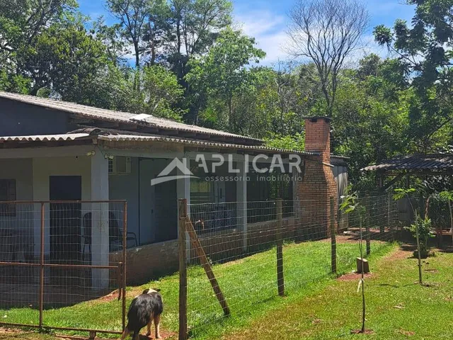 Imagem 2: CHÁCARA À VENDA NA ESTRADA VELHA DE GUARAPUAVA, 17KM DE FOZ DO IGUACU - PR