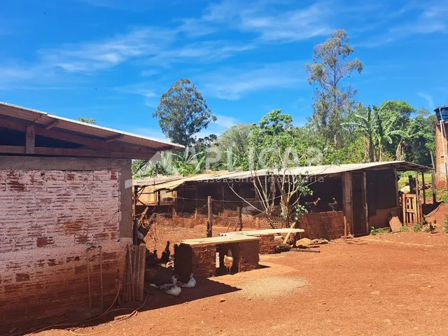 Imagem 12: CHÁCARA À VENDA NA ESTRADA VELHA DE GUARAPUAVA, 17KM DE FOZ DO IGUACU - PR