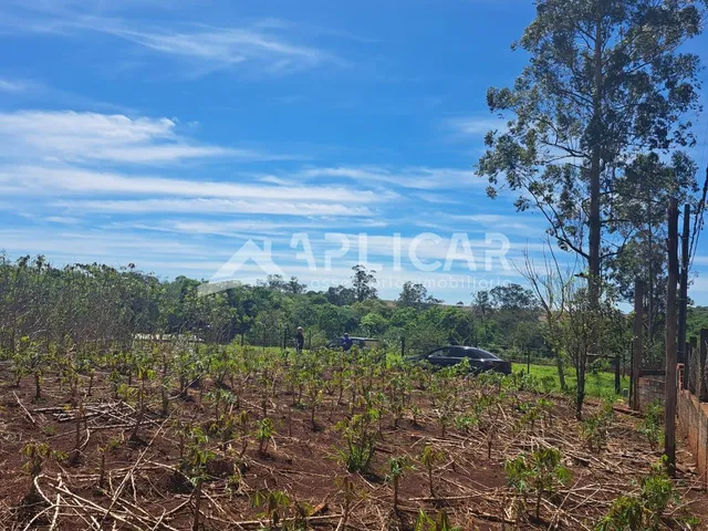 Imagem 7: CHÁCARA À VENDA NA ESTRADA VELHA DE GUARAPUAVA, 17KM DE FOZ DO IGUACU - PR