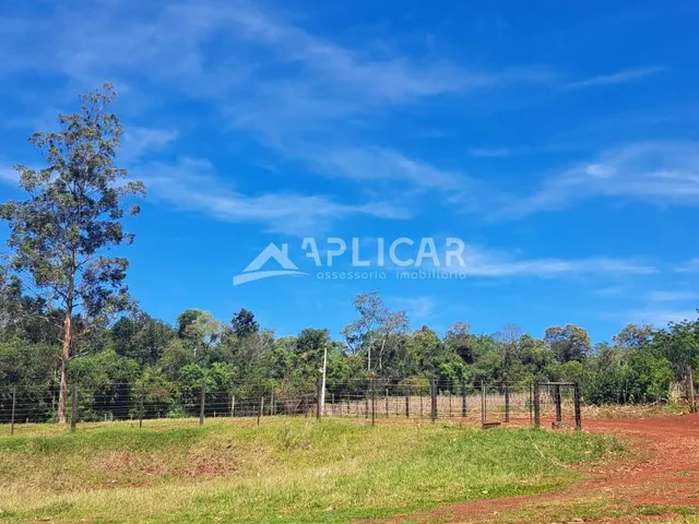 Imagem 4: CHÁCARA À VENDA NA ESTRADA VELHA DE GUARAPUAVA, 17KM DE FOZ DO IGUACU - PR