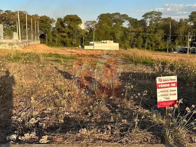 Imagem: Terreno Residencial em Sorriso - Mt, Florais