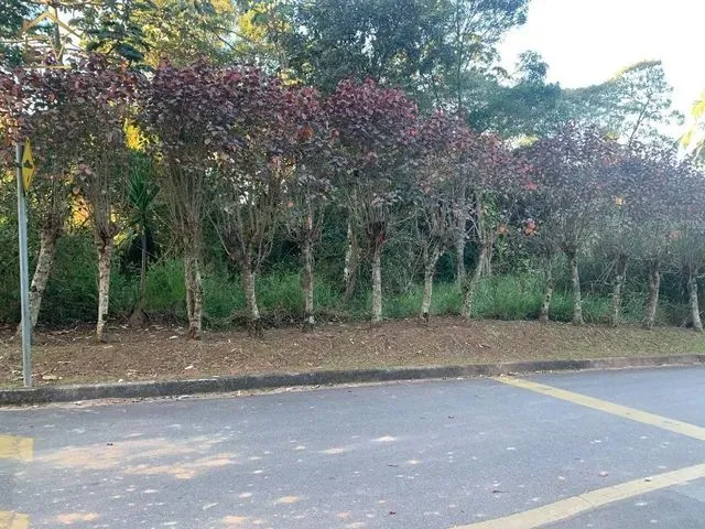 Imagem: Venda