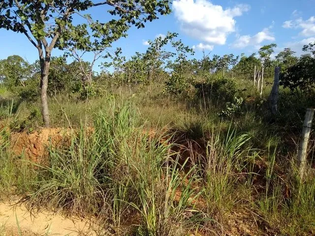 Imagem 5: Lote Terreno / lote com venda por R$12.000