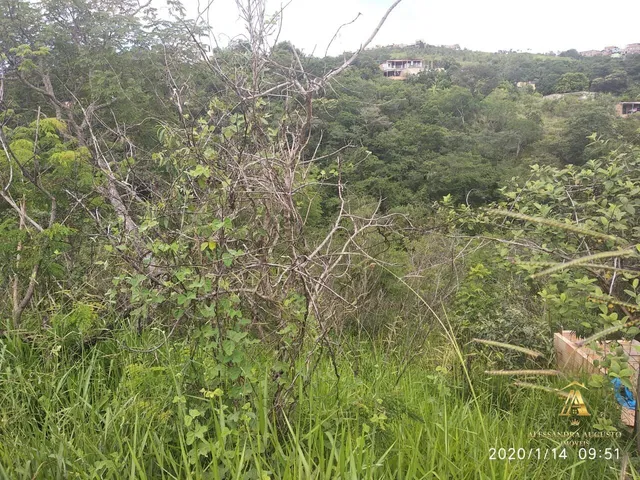 Imagem: Terreno Lote BAIRRO IMPERAIL