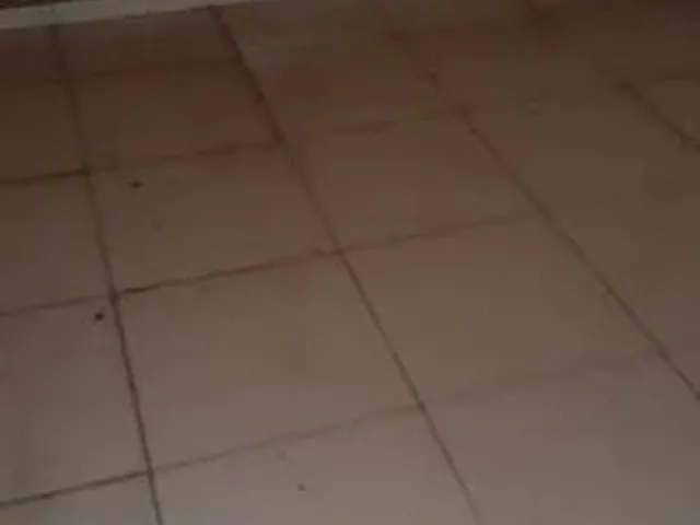 Imagem 9: Vende Se Uma Casa no Santos Dumont