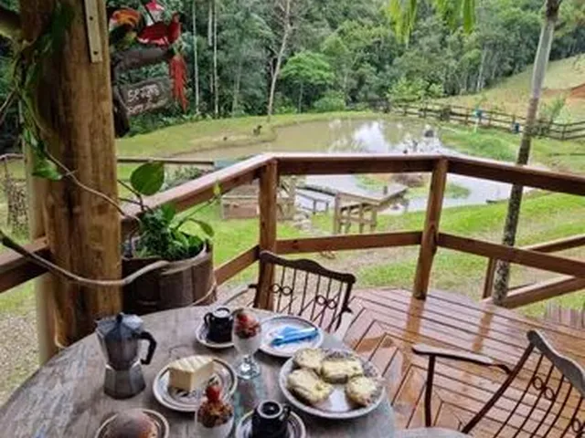Imagem 8: Sítio Chácara Terreno Cachoeira Açude Nascente