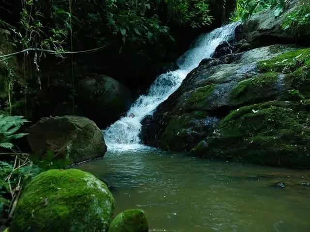 Imagem 12: Sítio Chácara Terreno Cachoeira Açude Nascente