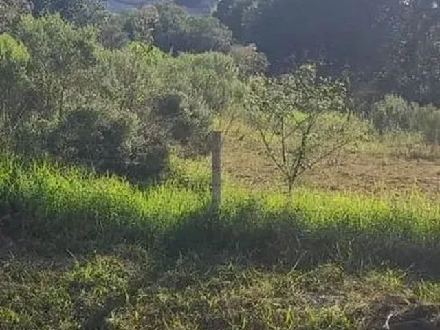 Imagem: Terreno Prox. Centro 480M2. Lote Oportunidade