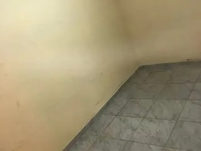 Imagem 9: Alugo Galpão 450M² (Iptu Incluso