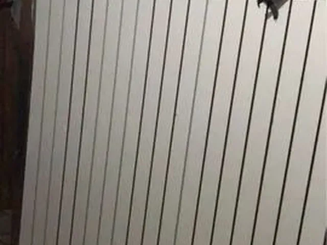 Imagem: Vende-Se Canaletado