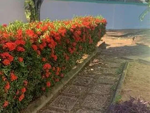 Imagem: Alugo Lagoa Nova,Casa C/5/4,Jardim,Garagem