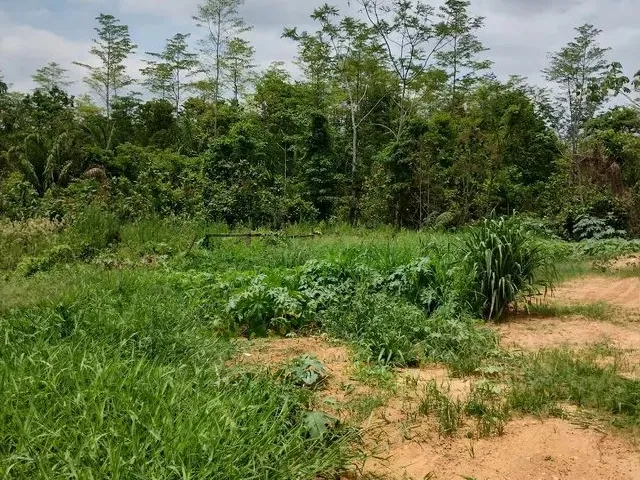 Imagem: Terreno 10 X 33 em Cacoal