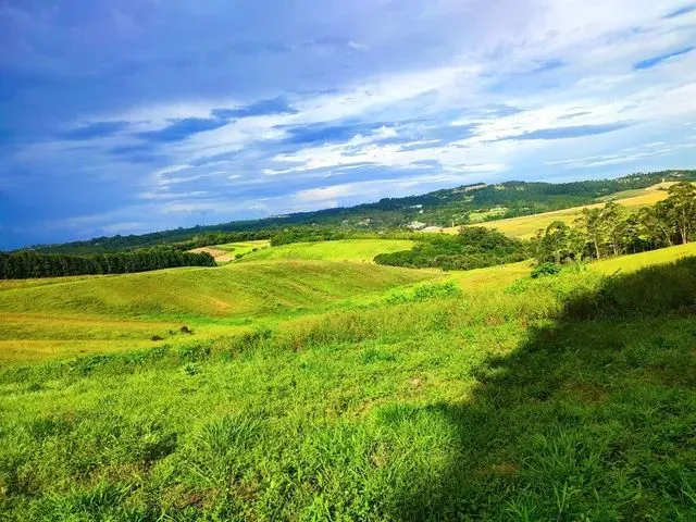 Imagem: Terreno para Venda com 500M² em Cotia