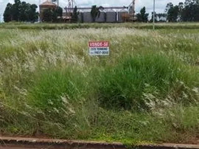 Imagem: Vendo Ou Troco Terreno em Florestopolis