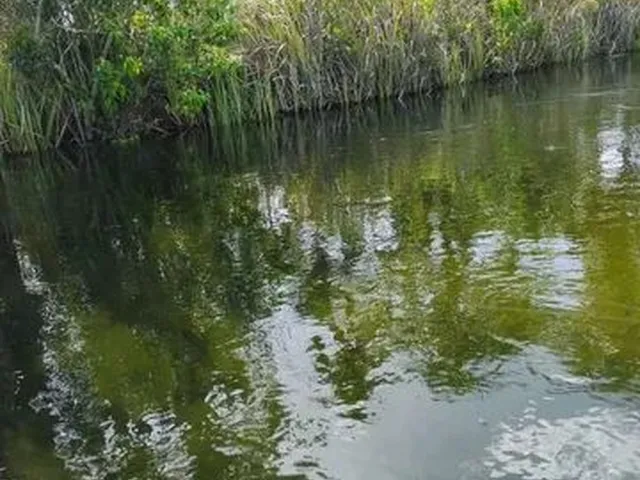 Imagem: Terreno com Banho Compartilhado