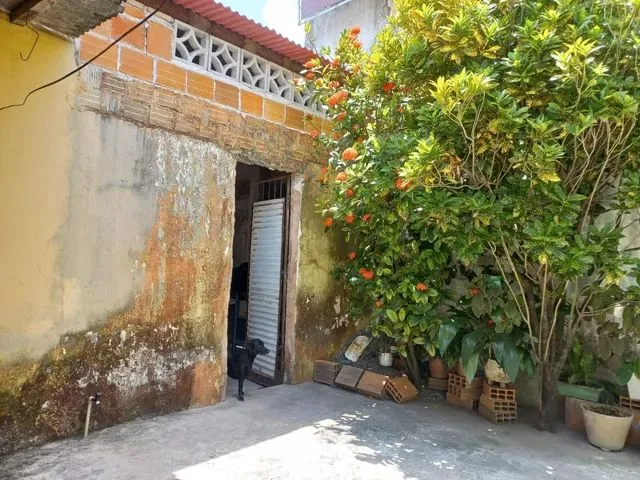 Imagem 7: .
