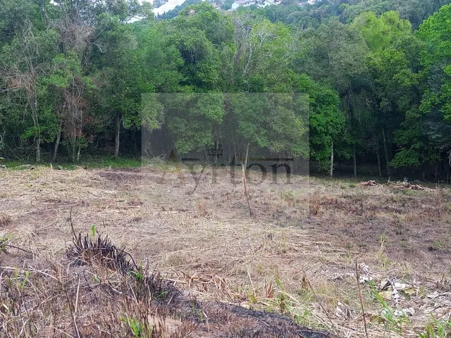 Imagem: Área à venda no bairro Harmonia - Ivoti/RS