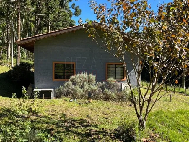 Imagem 5: SITIO - CAMANDUCAIA