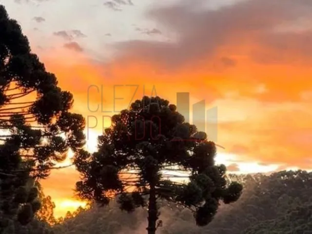 Imagem 3: SITIO - CAMANDUCAIA