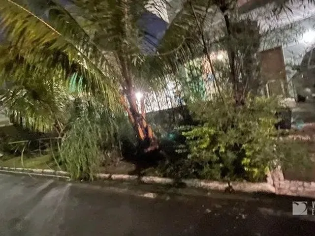 Imagem 5: Belém - Casa de Condomínio - Guanabara