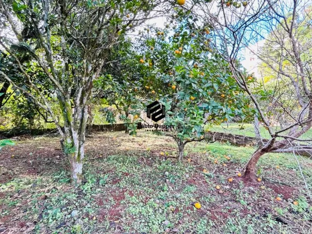 Imagem 7: Terreno à venda no Centro de Dois Irmãos RS