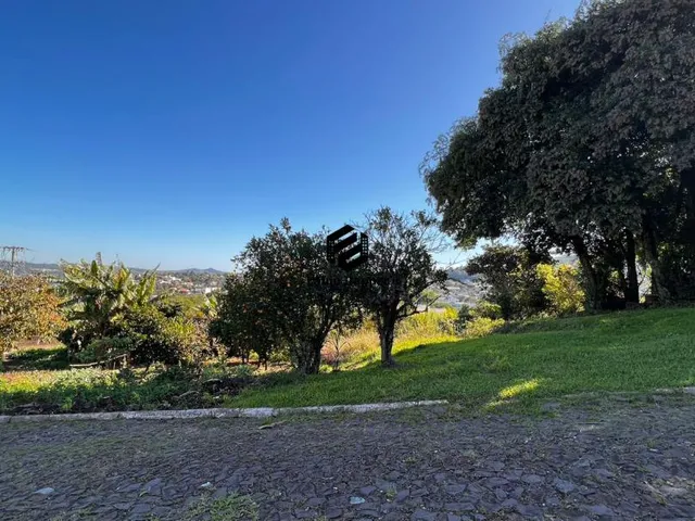 Imagem: Terreno à venda no Bairro Floresta em Dois