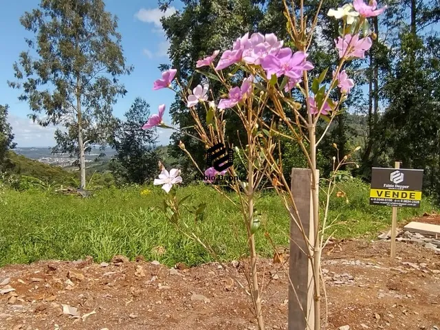 Imagem: Terreno à venda no Bairro Vila Steil em