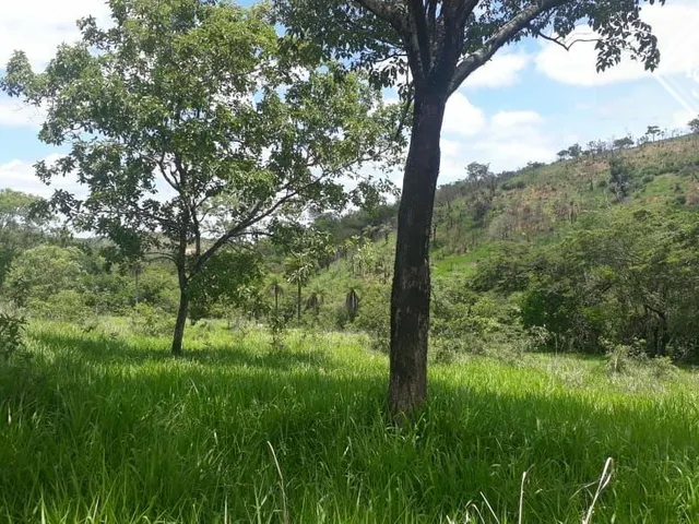 Imagem: Fazenda de 2 hectare com duas aguas correntes