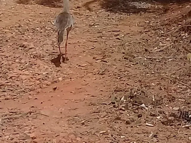 Imagem 3: Terreno de 3024 m2 no Encontro das Águas em Esmeraldas
