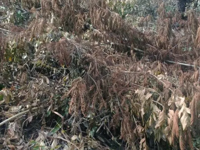 Imagem 2: Terreno de 3024 m2 no Encontro das Águas em Esmeraldas